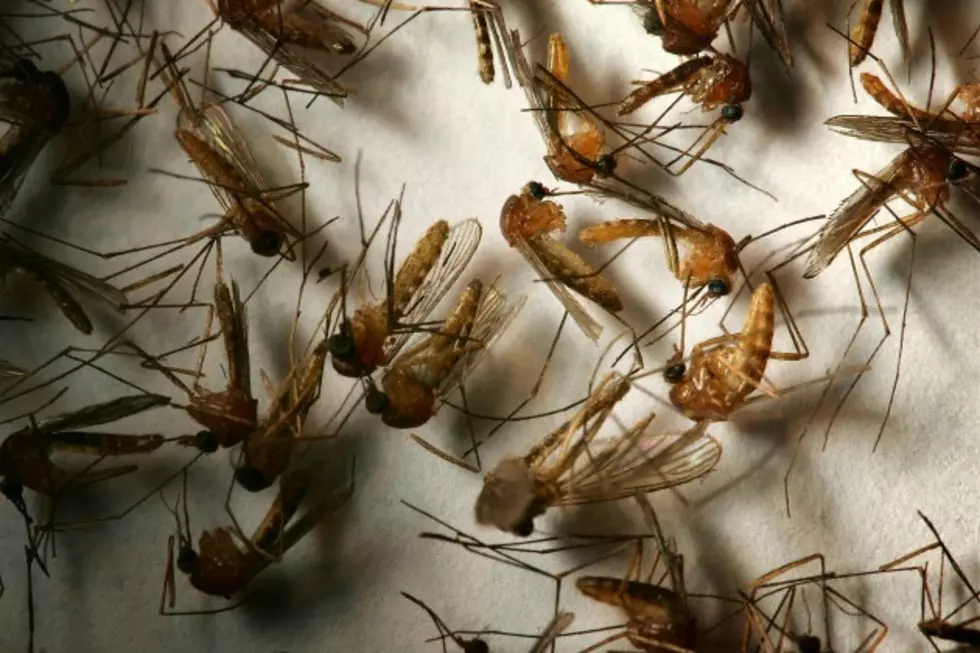 West Nile Confirmed in Central Illinois County