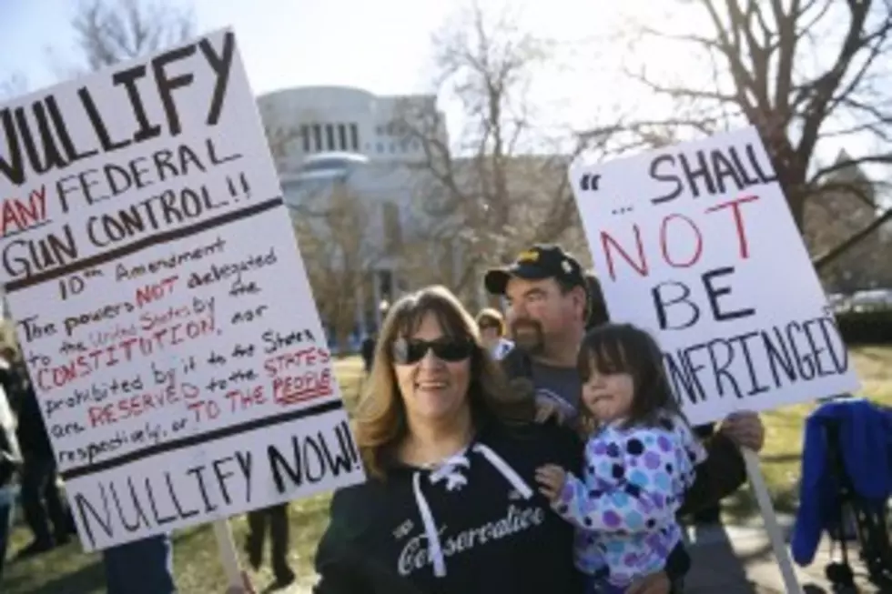 Hannibal Man Organizes Anti-Gun Control Rally at Missouri Capitol