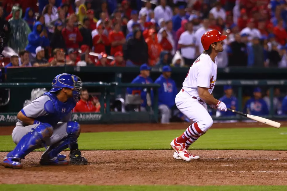 Cardinals Open with Walk-Off Win over Cubs Sunday Night