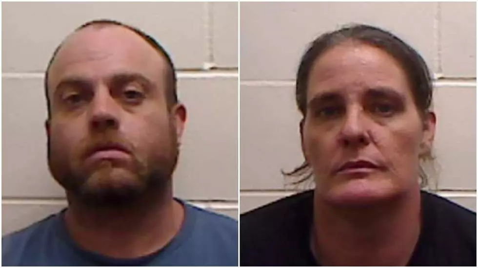 Two Arrested on Drug Charges After Search of Pittsfield Home