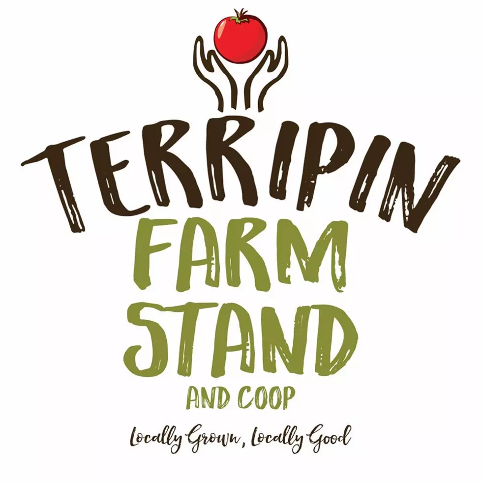Terripin Farms Gets Grant to Provide Produce to SNAP Clients