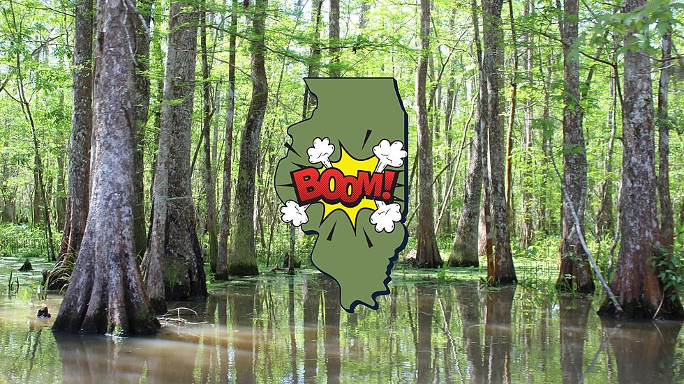 What’s the Biggest ‘Boomtown’ in Illinois? It Used to Be a Swamp