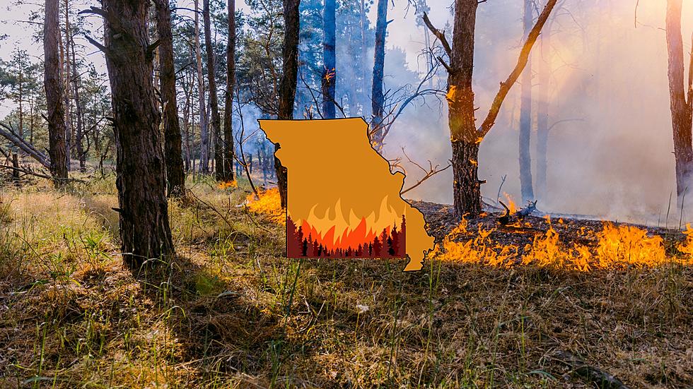 Missouri is Burning – Reports of Wildfires in the Ozarks Now