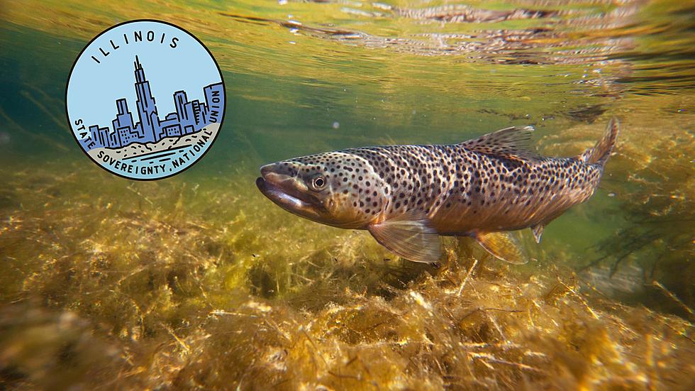 Trout Fishing Season is almost back in Illinois