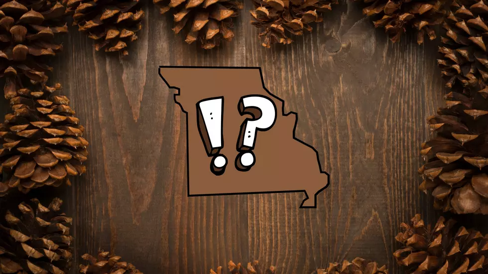 Why is Missouri Being Overwhelmed by Zillions of Pine Cones Now?