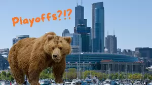 How many Games will the Chicago Bears Win in 2024/2025? 