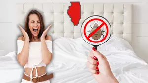 Check Those Sheets – 627 Bed Bug Reports in Illinois Motels Now