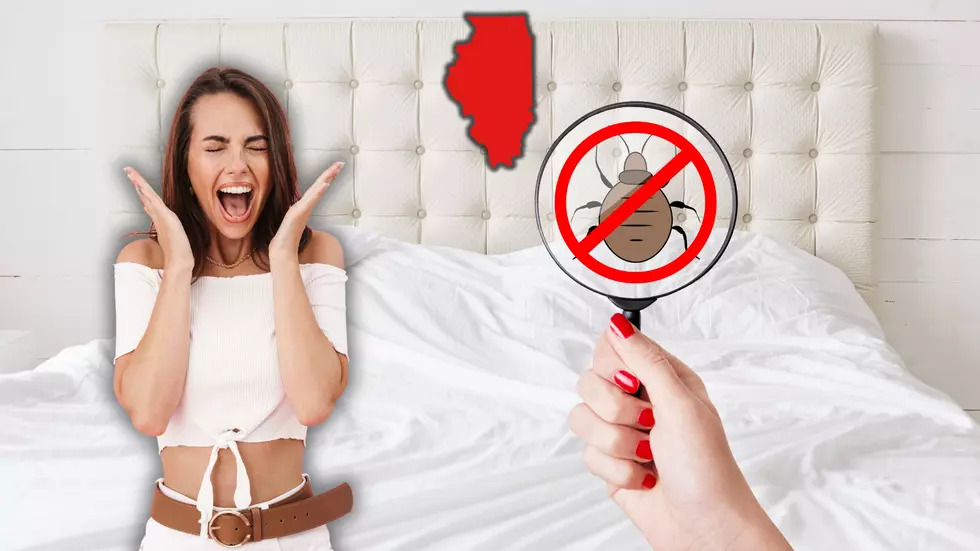 Check Those Sheets – 627 Bed Bug Reports in Illinois Motels Now