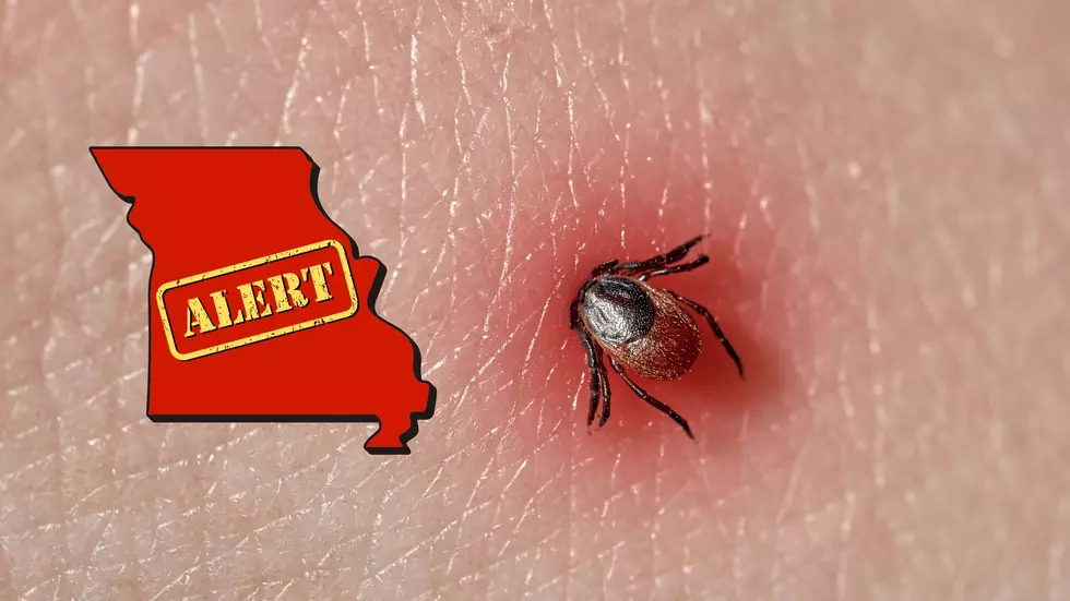 Missouri Suddenly Warning about a Life-Threatening Tick Bite