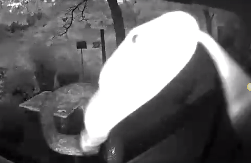 Snake Captured on Camera at Missouri Man’s Front Door! [Watch]