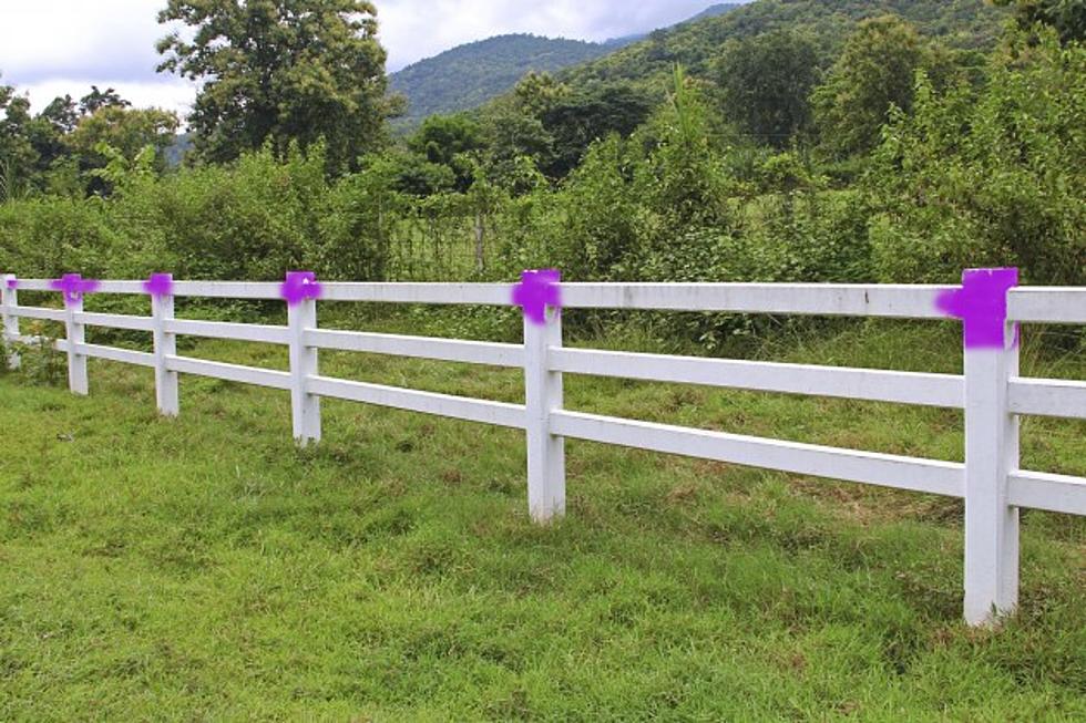 Do You Know What Purple Paint On A Fence Post Means in Missouri?