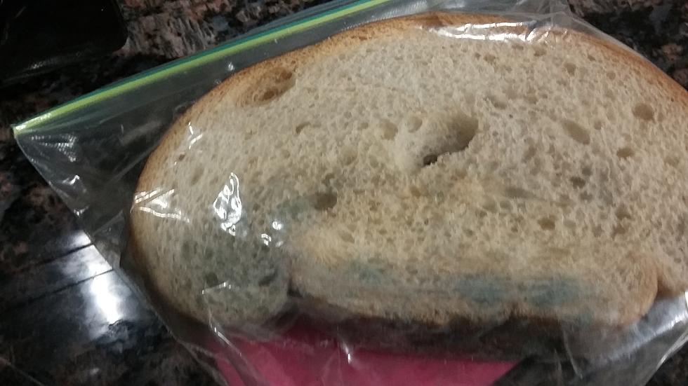 My Forensic Files Training Paid Off: The Case Of The Moldy Break Room Bread