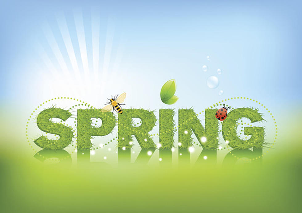 I Thought We Could Use This About Now…Your First Day of Spring Facts