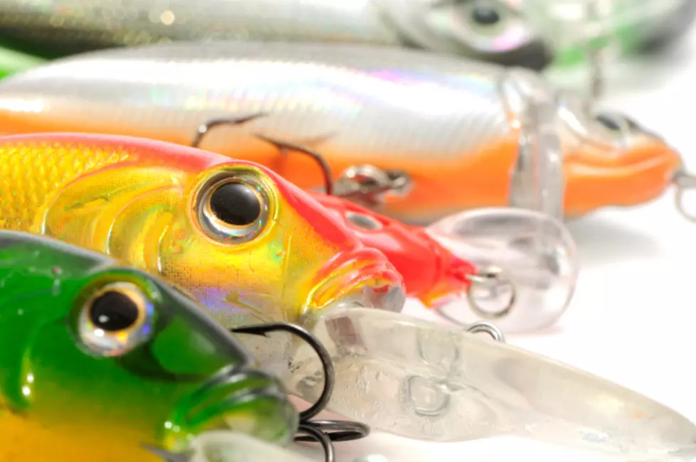 Fishing Lures-How Do Colors Make a Difference?