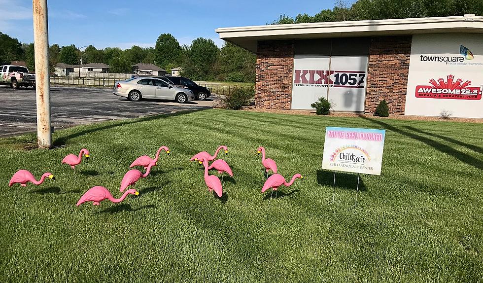 We've Been Flocked For A Good Cause And Your Yard Could Be Next 