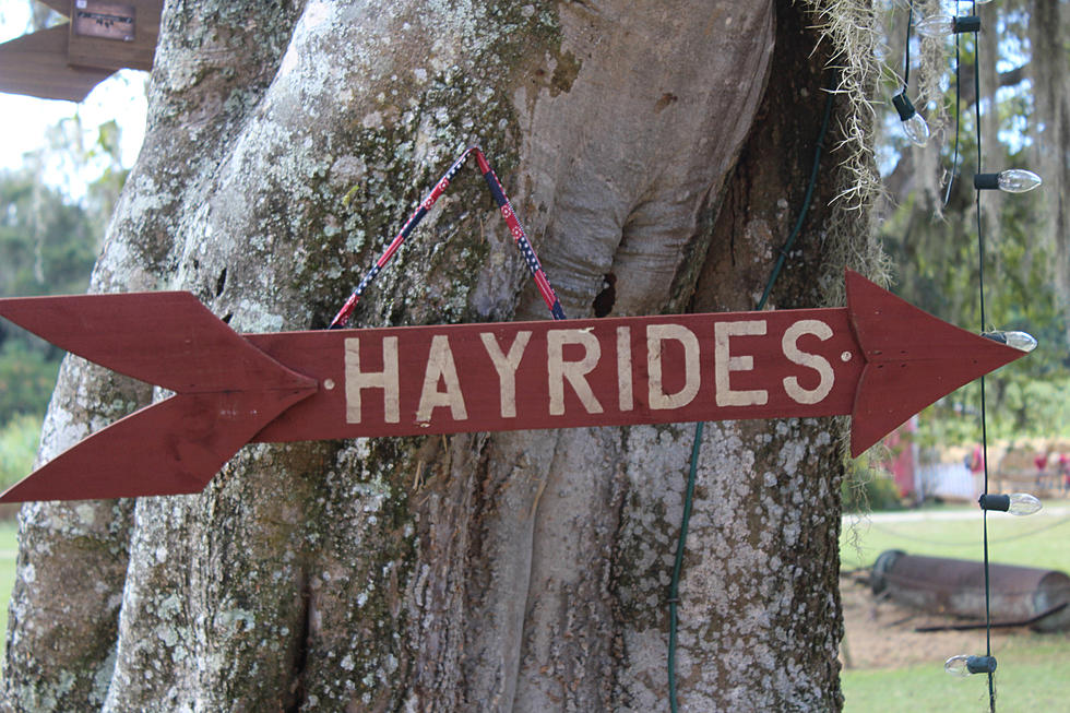 Haunted Hayride This Saturday