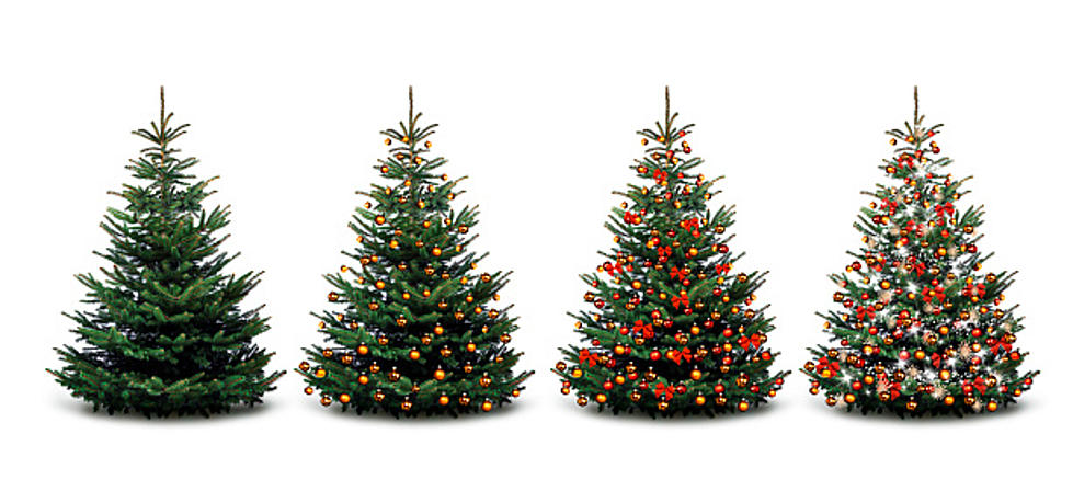 Real or Fake? Which Christmas Tree Is Best?