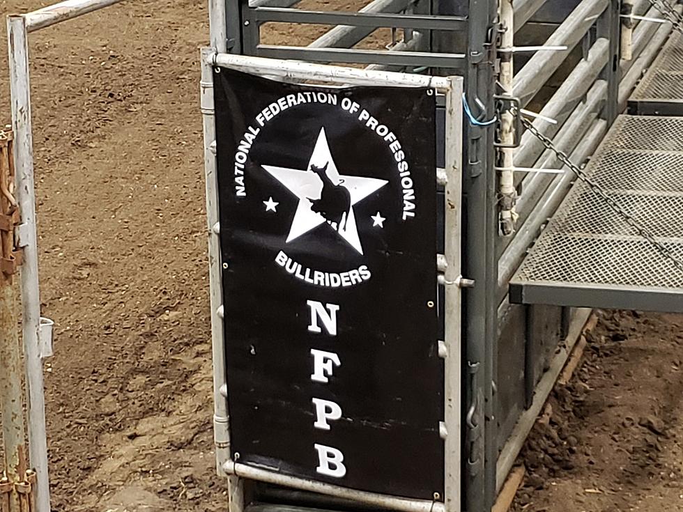 NFPB Bull Riding – What I Learned About The Sport