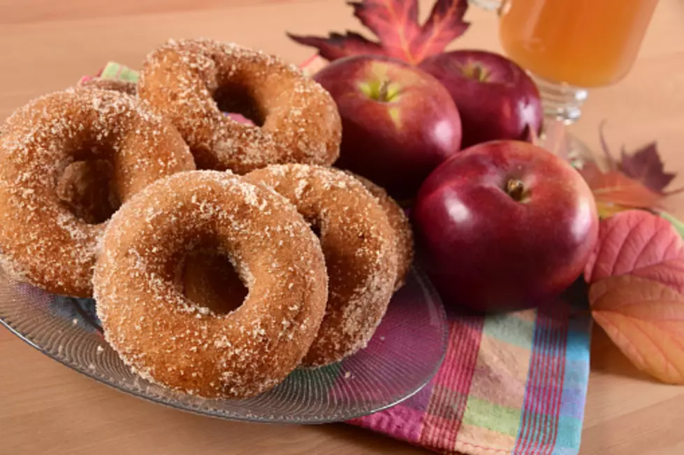 Autumn = Apple Cider Donuts.  5 Missouri Places May Have The Best