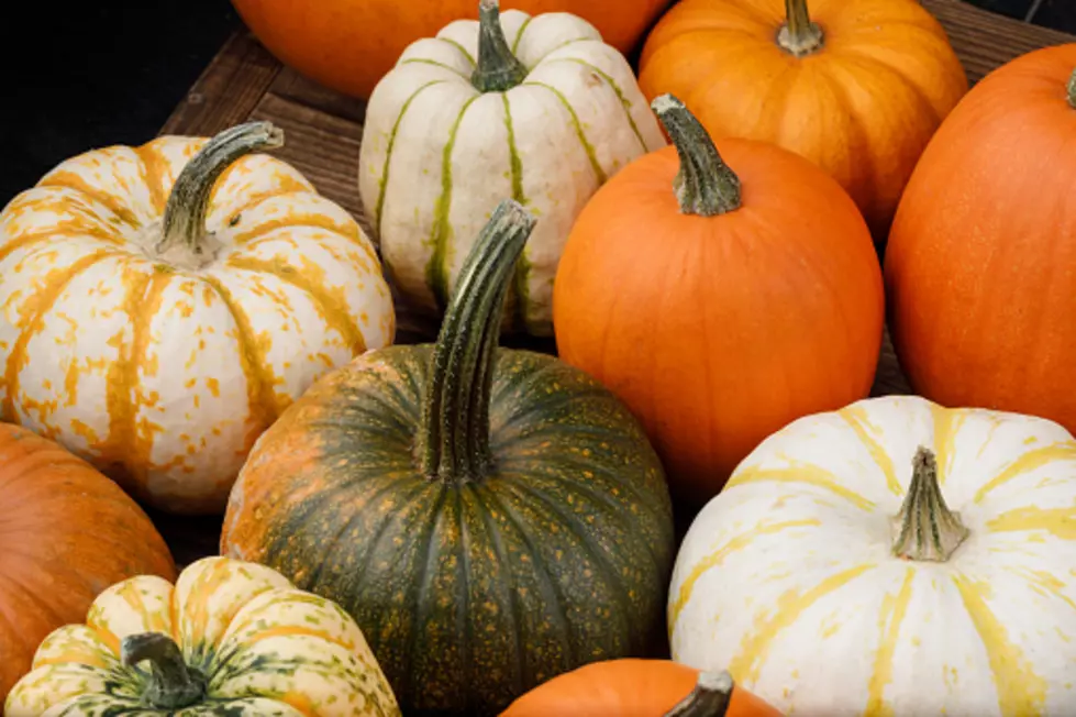 Did You Know Eating A Pumpkin Has Health Benefits? Yes, It's True