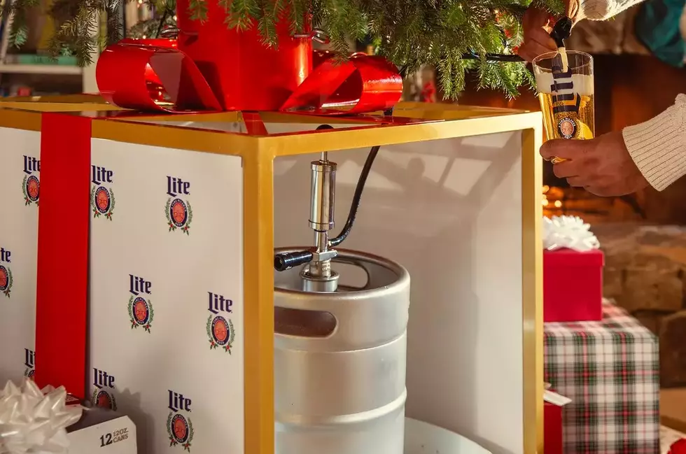 Your Christmas Tree Could Be A Bartender? Yes It Can! How?