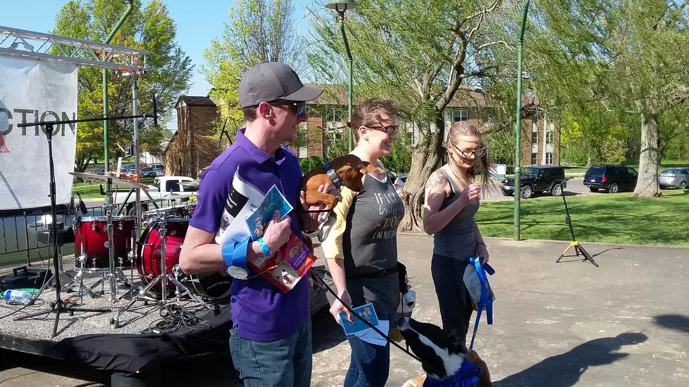 The Parks and Rec Yappy Hour Was Awesome and Crowded!