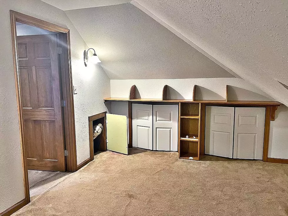 Look Closely – Illinois Home For Sale Has Unexpected Inhabitant