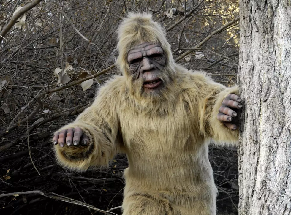 Wanna Go &#8216;Squatch Huntin?  You Can With the Great American Campout