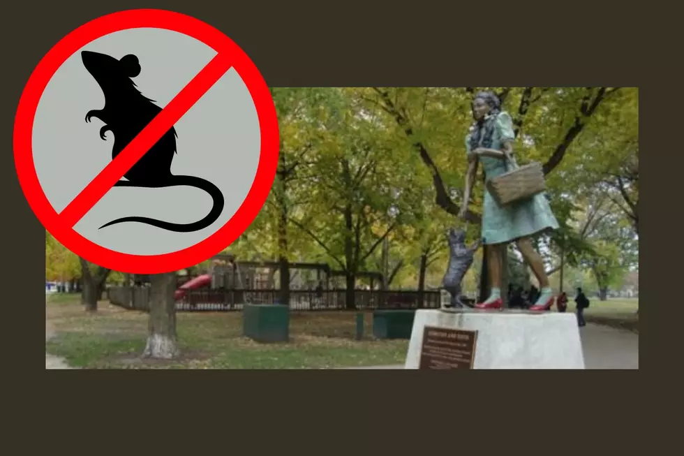 One of Chicago's Iconic Parks Evicting Rats For New Playground