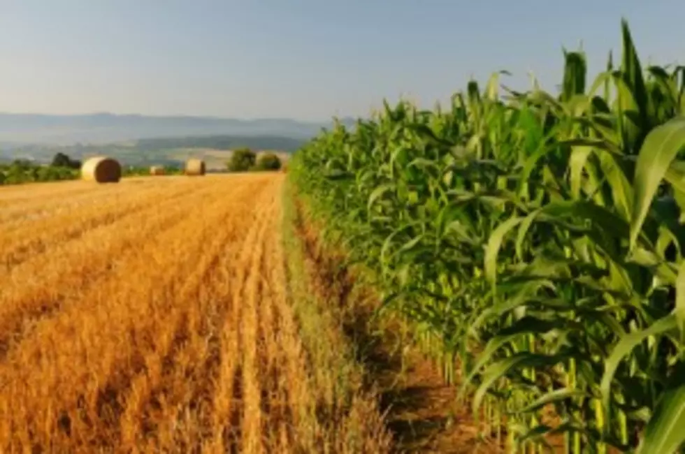 House Passes Farm Bill, Crop Subsidies Preserved