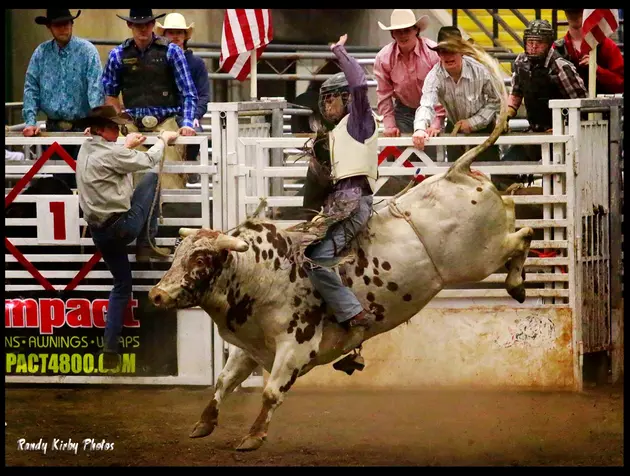National Finals for NFPB Bull Riding This Weekend at Matthewson Exhibition Center