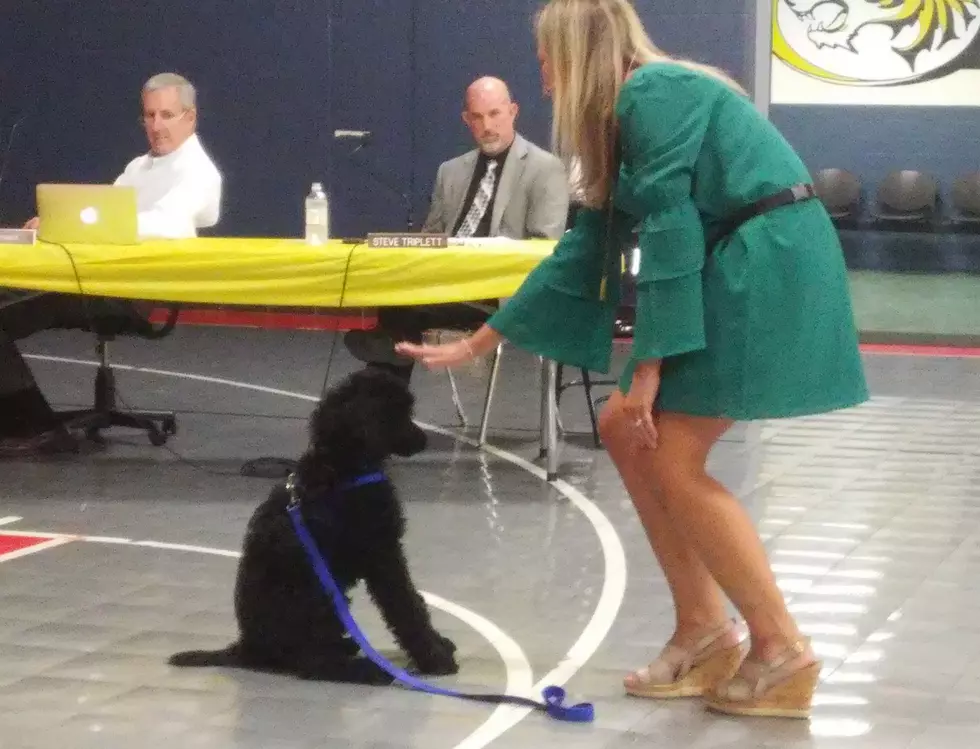 Sedalia School Board Updated on Therapy Dog Program at Heber Hunt