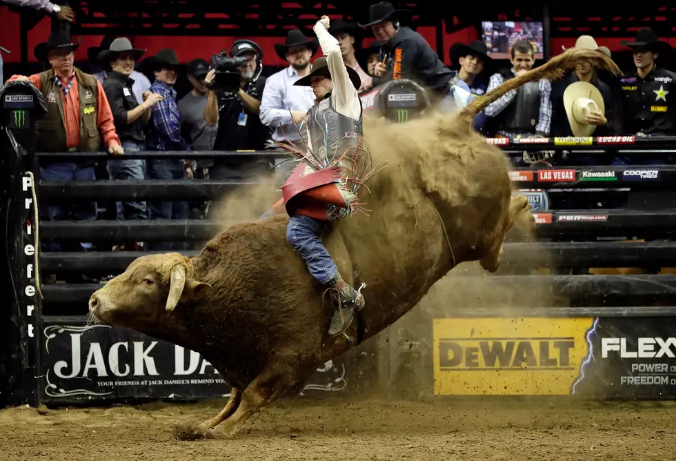 Bull Rider Dies After Being Stomped in Denver Competition