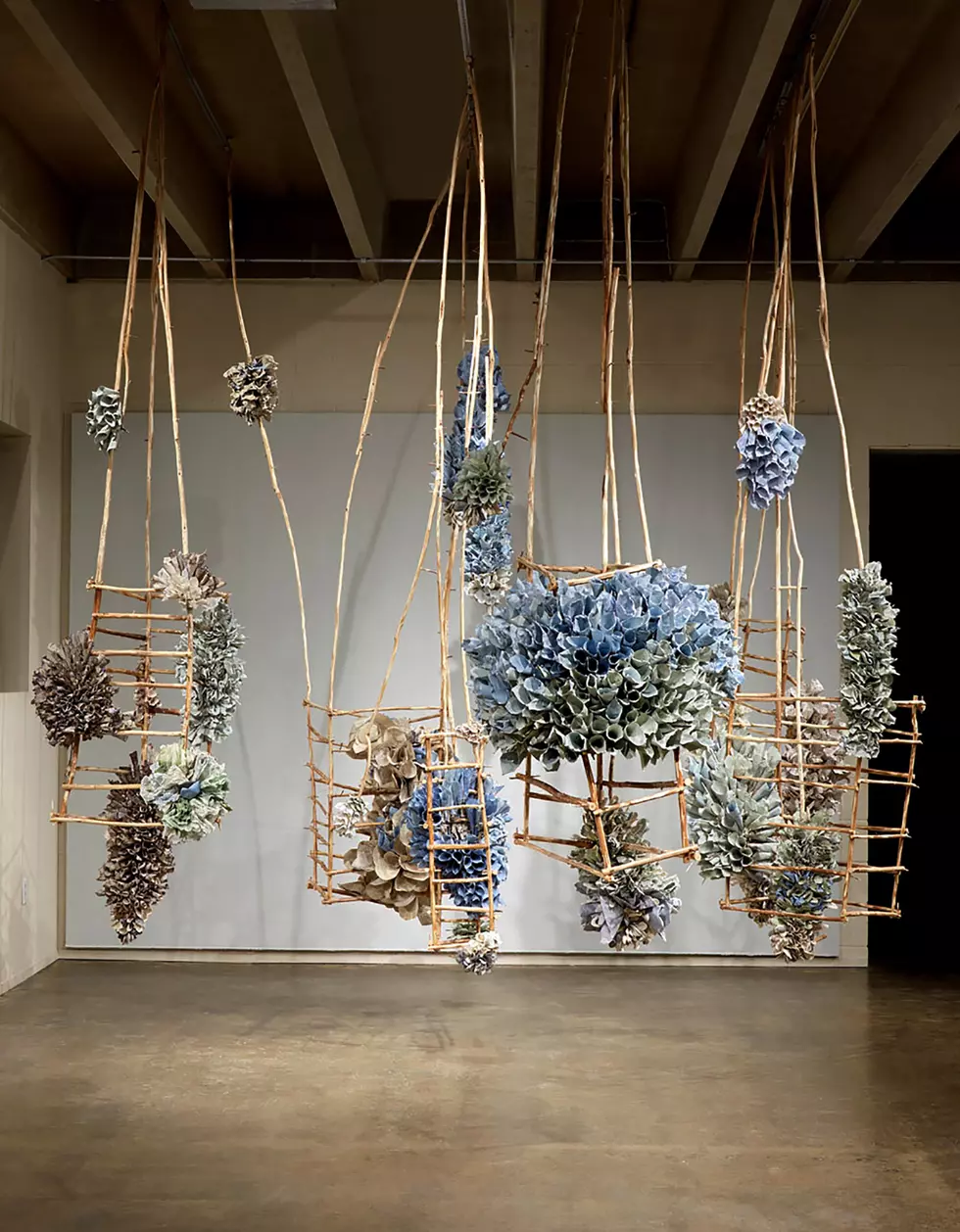 ‘Tranquil Bloom’ Exhibit Opens Sept. 21 at Daum Museum
