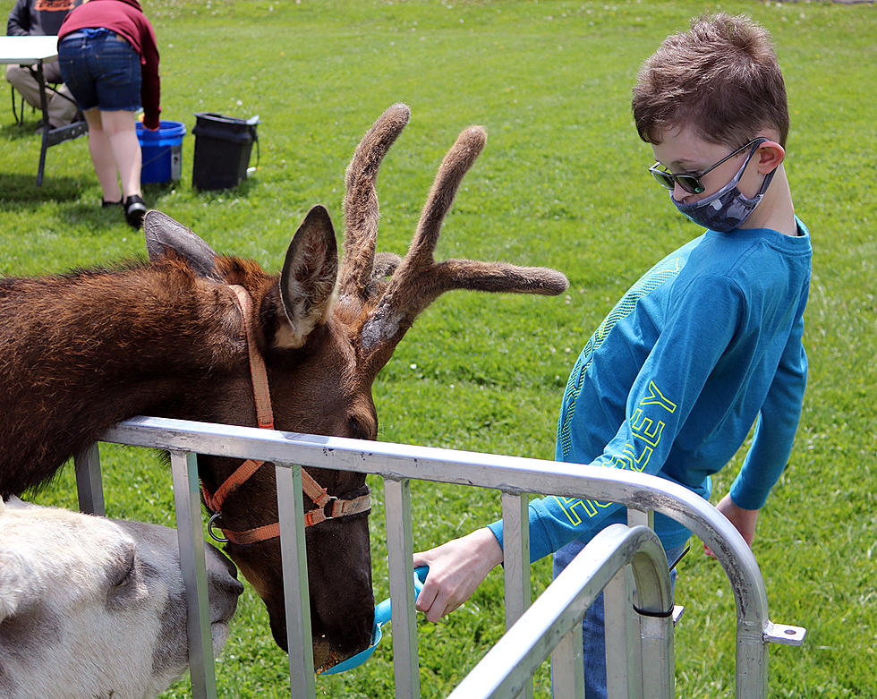 SMS Students Earn Visit From Petting Zoo