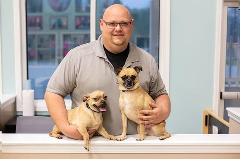 Missouri Animal Control Officer of the Year Awarded to Sedalia Animal Shelter Employee
