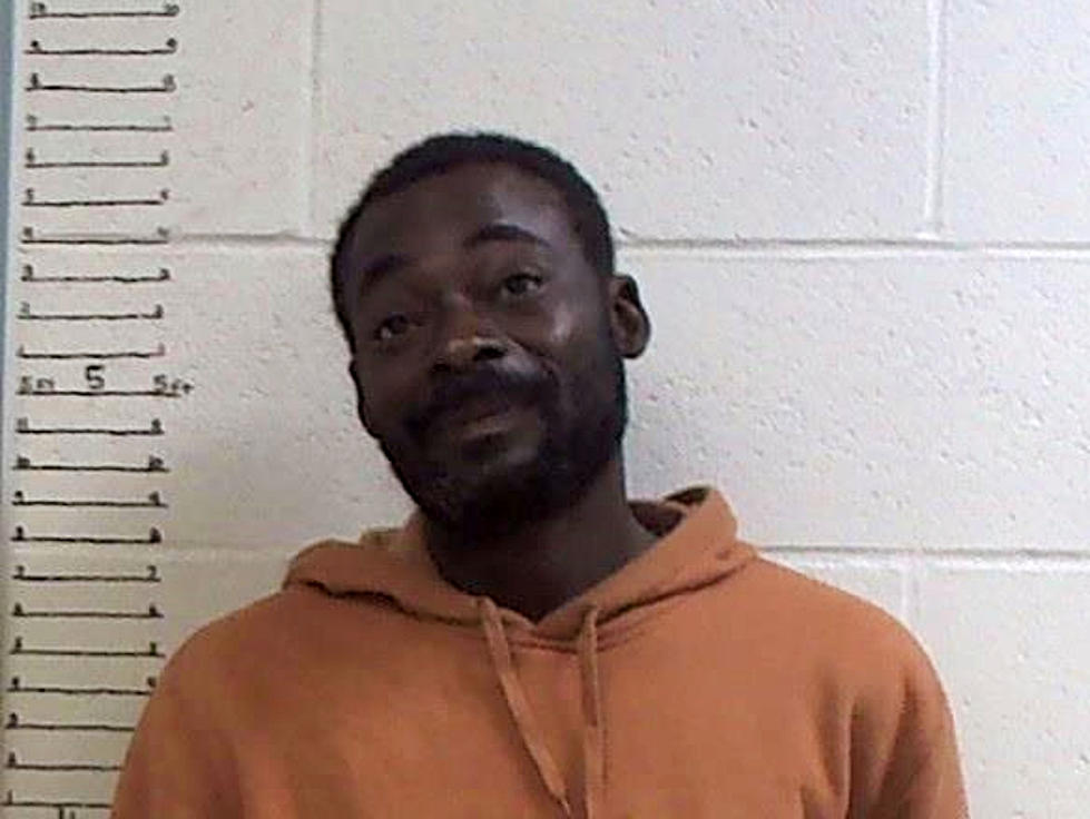 Sedalia Man Runs From Officers During Traffic Stop, Later Apprehended