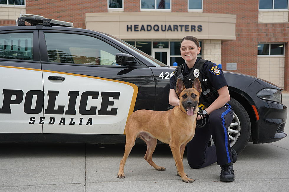 SPD Adds K9 ‘Ace’ to Roster