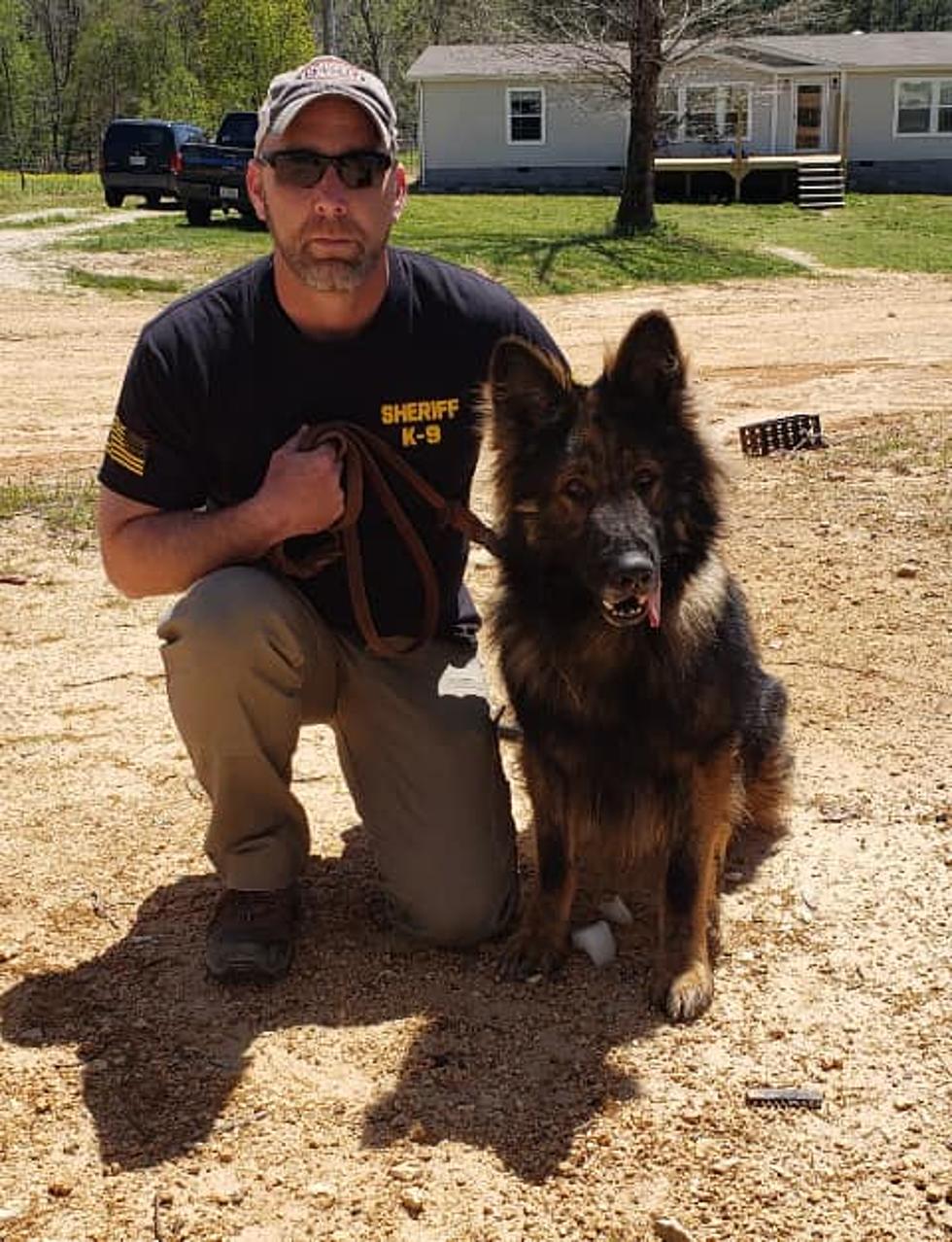 K9 Lord Coming to Pettis County In June