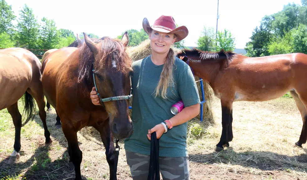 Wyoming Woman Helps Americans Discover America’s Mustangs