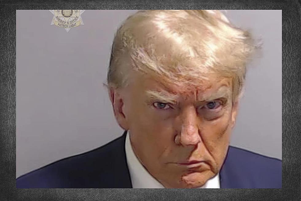One Image, One Face, One American Moment: The Donald Trump Mug Shot