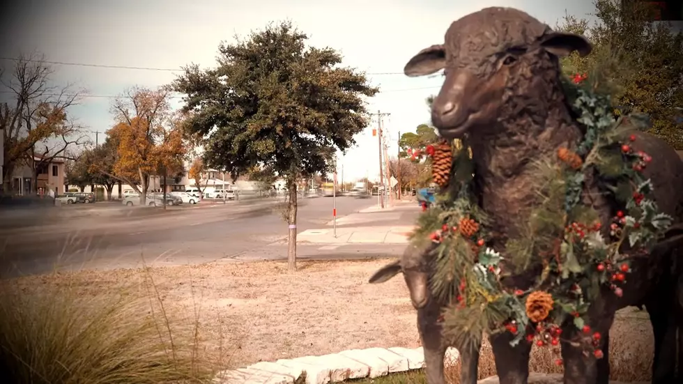 What’s The Deal With San Angelo’s Sheep Statues?