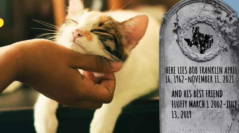 Can You Legally Be Buried With Your Pet in Texas?
