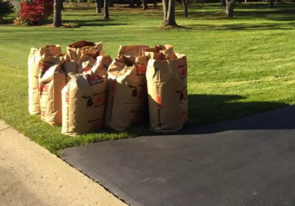 City of Flint Reminds Residents to Bag Leaves for Curbside Pickup