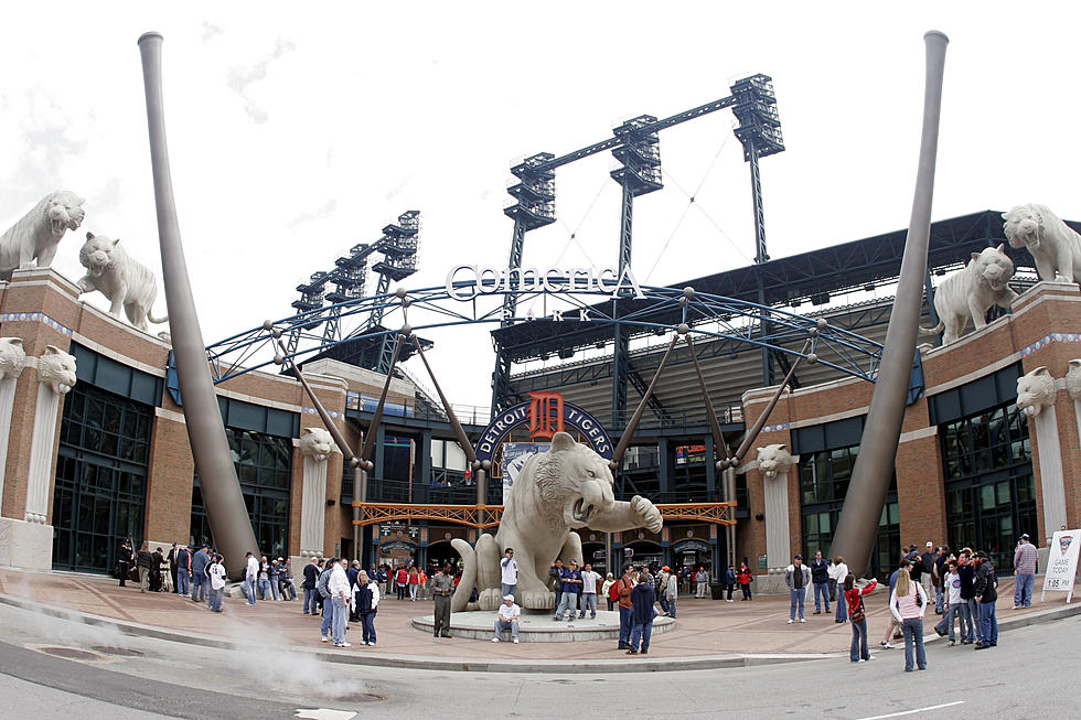 Five Reasons You Should Go To A Tigers Game Even Though They Are Terrible