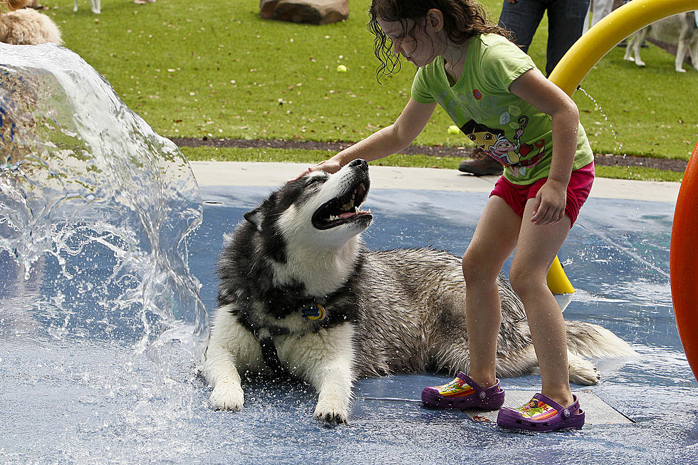 Beat The Heat At Splash Pads In and Around Genesee County