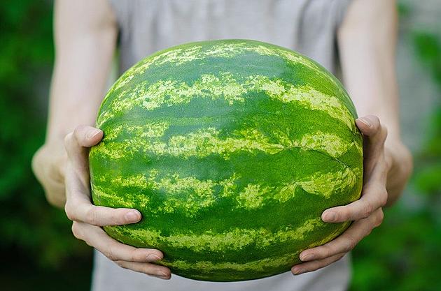 Tips on Picking the Best Watermelon