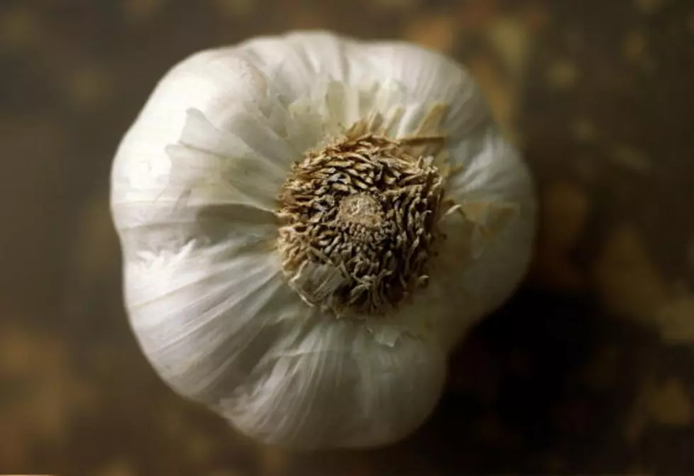 Birthdays For April 19th + Garlic Day