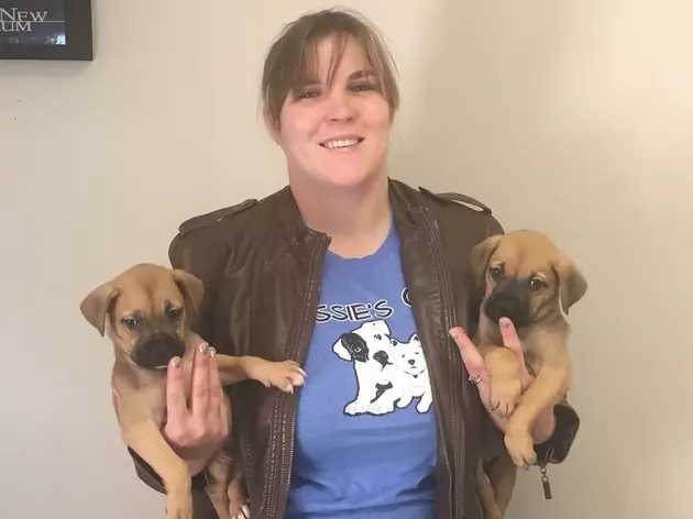 San Angelo Pet of the Week Twofer &#8212; Meet Twin Puppies Braxton and Alisha