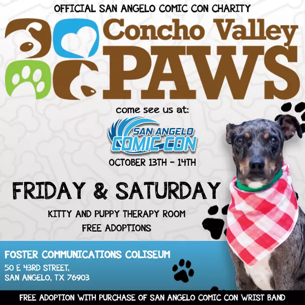 You Can Snuggle With Puppies &#038; Adopt Them at San Angelo Comic Con